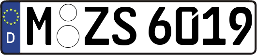 M-ZS6019