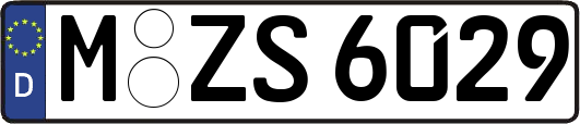 M-ZS6029