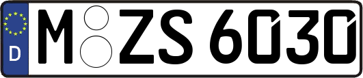 M-ZS6030