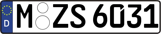 M-ZS6031