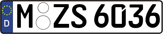 M-ZS6036