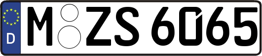 M-ZS6065