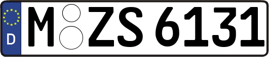 M-ZS6131