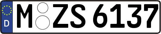 M-ZS6137