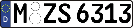 M-ZS6313