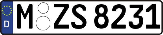 M-ZS8231