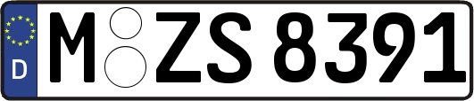 M-ZS8391