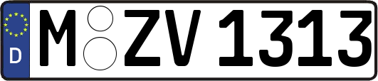 M-ZV1313