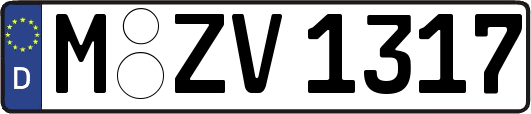 M-ZV1317