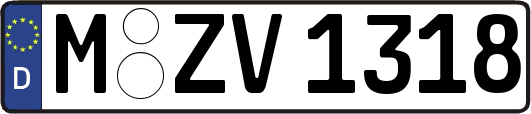 M-ZV1318