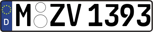 M-ZV1393