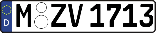 M-ZV1713