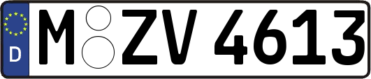 M-ZV4613