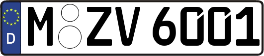 M-ZV6001