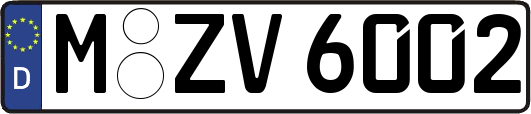 M-ZV6002