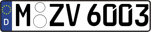 M-ZV6003