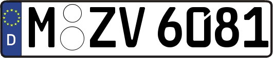 M-ZV6081