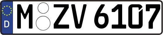 M-ZV6107