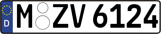 M-ZV6124