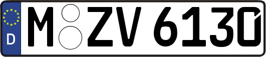 M-ZV6130