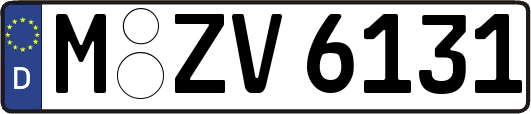 M-ZV6131