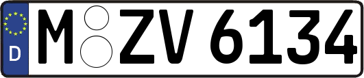 M-ZV6134