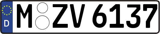 M-ZV6137