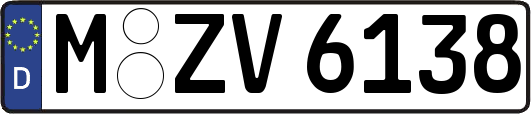 M-ZV6138