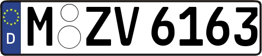 M-ZV6163