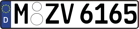 M-ZV6165