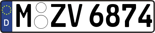 M-ZV6874