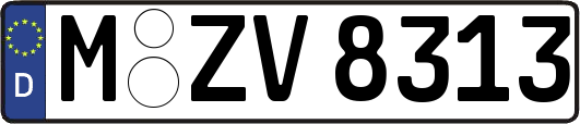 M-ZV8313