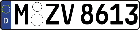 M-ZV8613