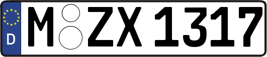 M-ZX1317