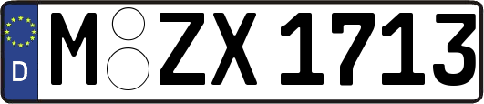 M-ZX1713