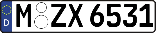 M-ZX6531