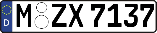 M-ZX7137