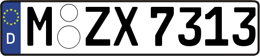 M-ZX7313