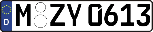 M-ZY0613