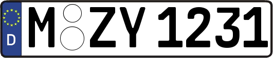 M-ZY1231