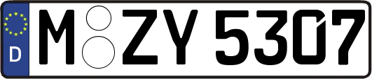 M-ZY5307