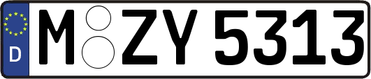 M-ZY5313