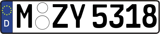 M-ZY5318