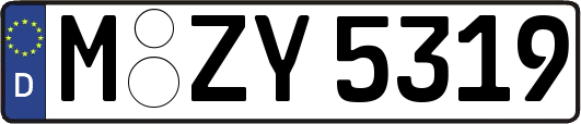 M-ZY5319