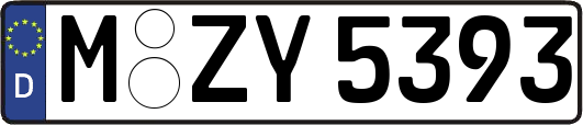 M-ZY5393