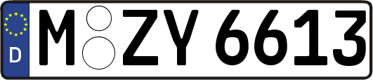 M-ZY6613