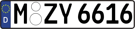 M-ZY6616