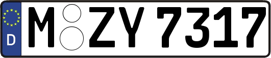 M-ZY7317