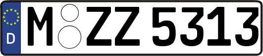 M-ZZ5313