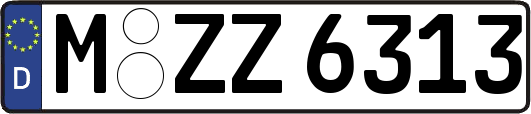 M-ZZ6313